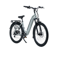 Revi Bikes Oasis