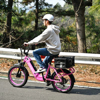 Revi Bikes Runabout 2