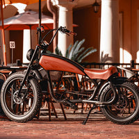 Revi Bikes Prowler