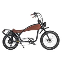 Revi Bikes Prowler