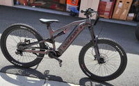 Magician Discovery electric mountain bike