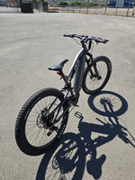 Magician Discovery electric mountain bike