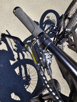 Magician Discovery electric mountain bike