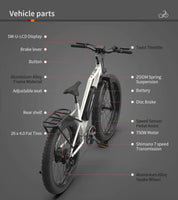 Aostirmotor S07 G