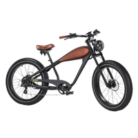 Revi Bikes Cheetah plus