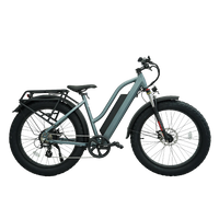 Revi Bikes Predator step over step thru