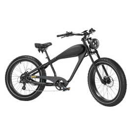 Revi Bikes Cheetah plus