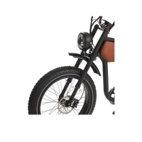 Revi Bikes Prowler