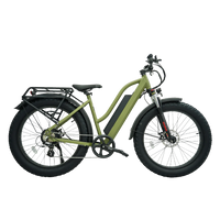 Revi Bikes Predator step over step thru