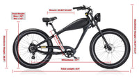 Revi Bikes Cheetah plus