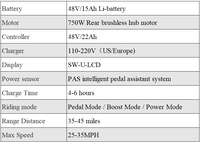 Aostirmotor S18